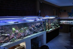 Killikus&reg; Fotographie